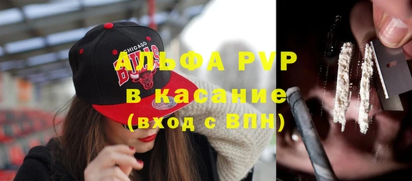 ПСИЛОЦИБИНОВЫЕ ГРИБЫ Весьегонск