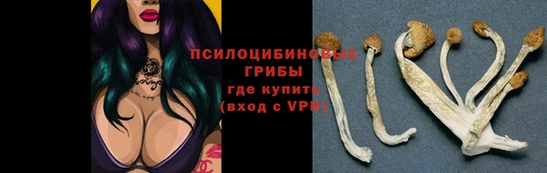 бошки Лиски